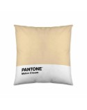 Fodera per cuscino Melon Cream Pantone 63836415 50 x 50 cm