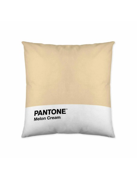 Fodera per cuscino Melon Cream Pantone 63836415 50 x 50 cm
