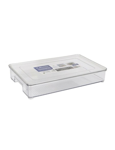 Organizador Multiusos Quttin Con Tapa (32,5 x 20 x 5,5 cm)