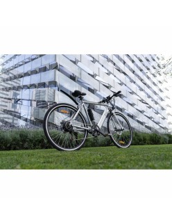 Elektrisches Fahrrad Youin BK1500 NEW YORK 29" 250W Grau 250 W 7800 mAh 29"