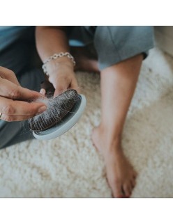 Detangling Hairbrush Hunter Self-cleaning