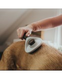 Brosse Démêlante Hunter Auto-nettoyant