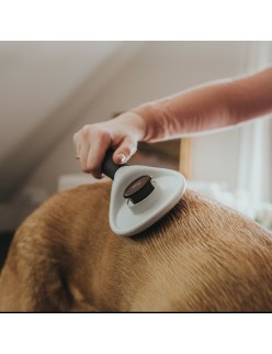 Brosse Démêlante Hunter Auto-nettoyant
