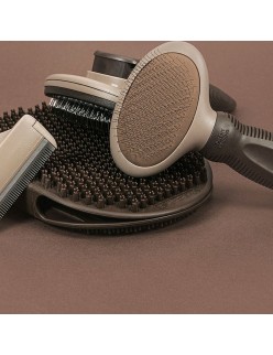 Backcombing brush Gloria Oval