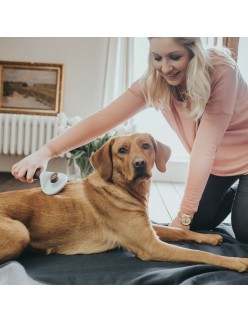 Escova para cardar Hunter Limpeza automática