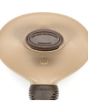 Brosse pour carder Gloria Auto-nettoyant