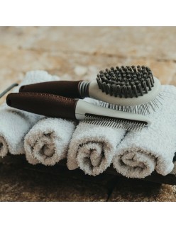 Brosse Démêlante Hunter 2 en 1