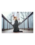 Camisola para cão Hunter Malmö