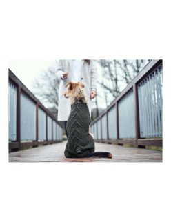 Jersey para Perro Hunter Malmö