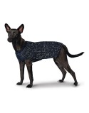 Dog Jumper Hunter Finja