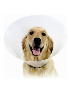 Collar Isabelino para Perros KVP Check Transparente (43-57 cm)