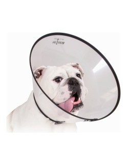 Collar Isabelino para Perros KVP Saf-T-Clear Transparente (30-76 cm)