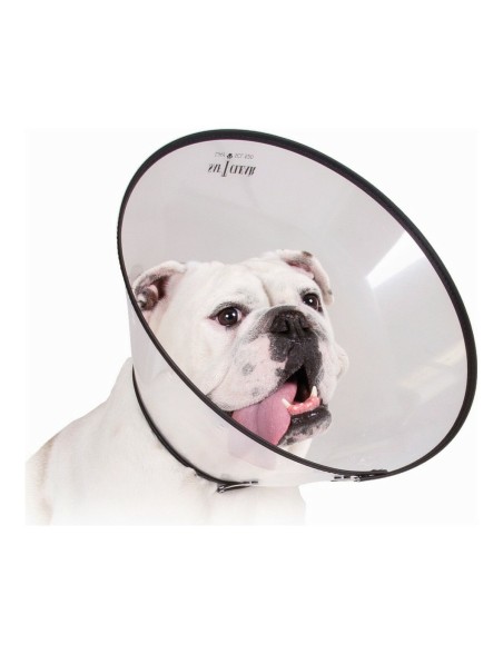 Collar Isabelino para Perros KVP Saf-T-Clear Transparente (30-76 cm)