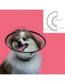 Collar Isabelino para Perros KVP Saf-T-Clear Transparente (30-76 cm)