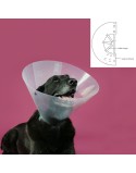 Collar Isabelino para Perros KVP Betsy Transparente (63-78 cm)