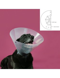 Collare elisabettiano per cani KVP Betsy Trasparente (63-78 cm)