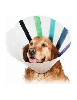 Collar Isabelino para Perros KVP EZ Clear (39-51 cm)
