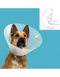 Collar Isabelino para Perros KVP Quick Fit Transparente (39-48 cm)
