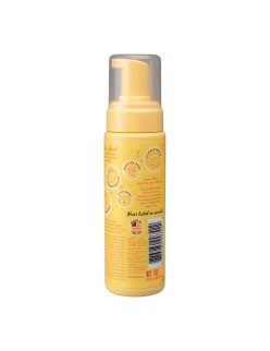Champú en Seco Pet Head Felin' Good Espuma Gato (200 ml)