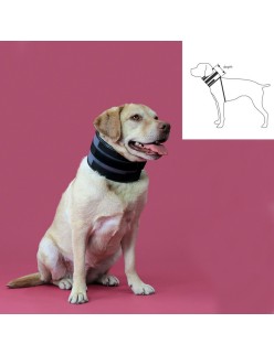 Collarín Cervical para Perros KVP Negro (20-64 cm)