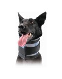 Collarín Cervical para Perros KVP Negro (10-41 cm)
