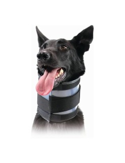 Collarín Cervical para Perros KVP Negro (10-41 cm)
