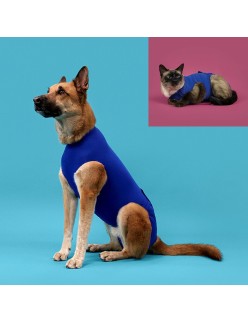 Camiseta de Recuperación para Mascotas KVP 53-61 cm Azul