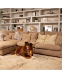 Champú para mascotas Pet Head Ditch the Dirt Naranja