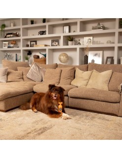 Champú para mascotas Pet Head Ditch the Dirt Naranja
