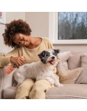 Champú en Seco Pet Head Quick Fix Perro Melocotón Spray (300 ml)