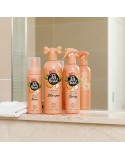 Champú en Seco Pet Head Quick Fix Perro Melocotón Spray (300 ml)