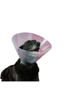 Hunde-Halskrause KVP Betsy (33-40 cm)