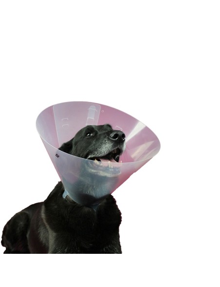 Collar Isabelino para Perros KVP Betsy (33-40 cm)
