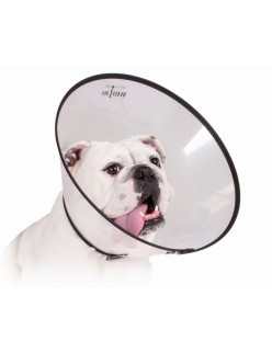 Hunde-Halskrause KVP Saf-T-Clear (38-63 cm)