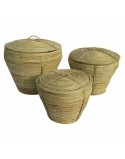Conjunto de Cestas DKD Home Decor Com tampa Natural Rotim Tropical (3 Peças) (35 x 35 x 30 cm)