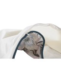 Kissenbezug DKD Home Decor 60 x 1 x 40 cm Rosa grün Tropical