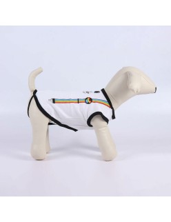 T-Shirt für Hunde Disney Pride
