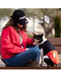 T-Shirt für Hunde Mickey Mouse