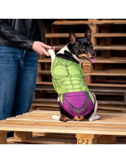 T-Shirt für Hunde The Avengers