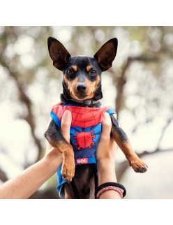 T-Shirt für Hunde Spider-Man
