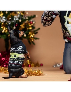 Pull pour chien The Mandalorian