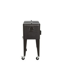 Nevera Portátil DKD Home Decor Marrón Metal ratán sintético 76 L 83 x 48 x 86 cm