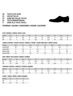 Hallenfußballschuhe für Erwachsene Puma Future Play It Blau Unisex