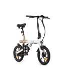 Elektrisches Fahrrad Youin BK0500 Schwarz 250 W 7500 mAh 20"