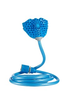 Haustier-Badehandschuh Blau (6 Stück)