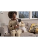Feuchtigkeitscreme Pet Head PAW BUTTER 40 g