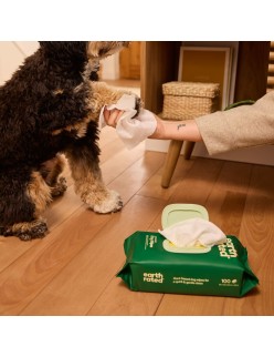 Wipes Earth Rated 100 Units