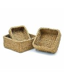 Set di Cesti Marrone Alghe marine (6 Unità)