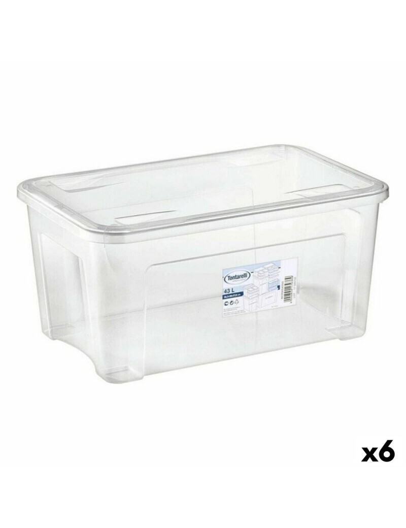 Scatola portaoggetti con coperchio Combi Tontarelli Combi (59 x 39 x 28 cm) 59 x 39 x 28 cm (6 Unità)