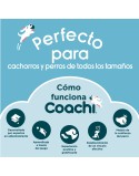 Multi-Clicker Coachi